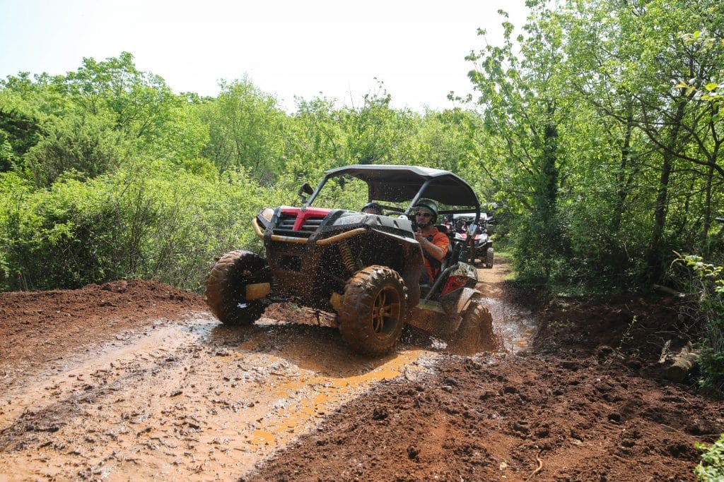 buggy safari